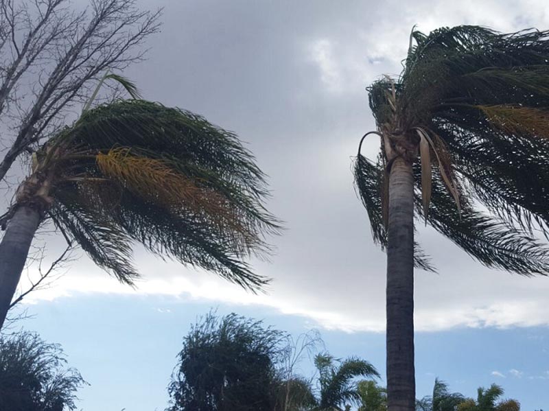 strong winds with concrete plant