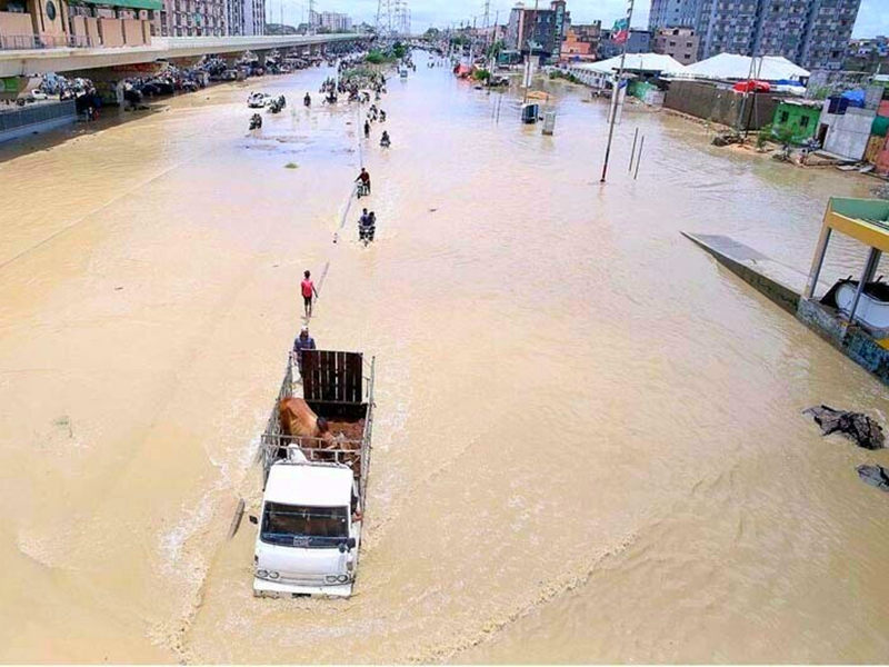 Karachi infrastructure need small concrete pump for sale in Pakistan to fix