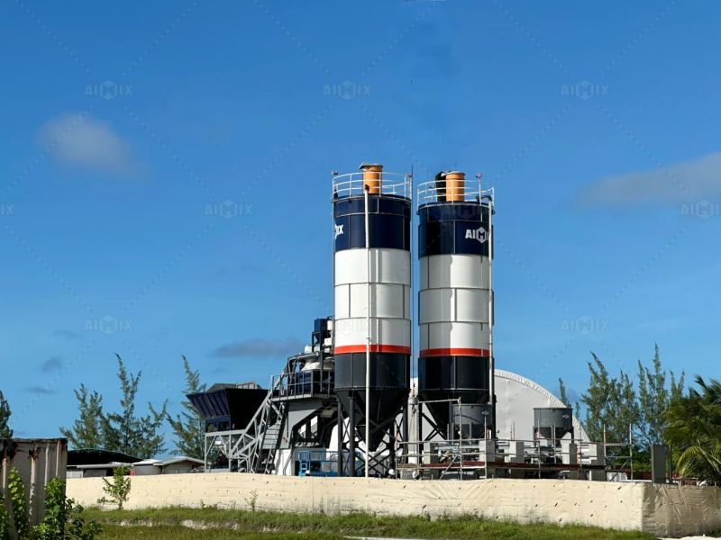 guide to choose the right plant