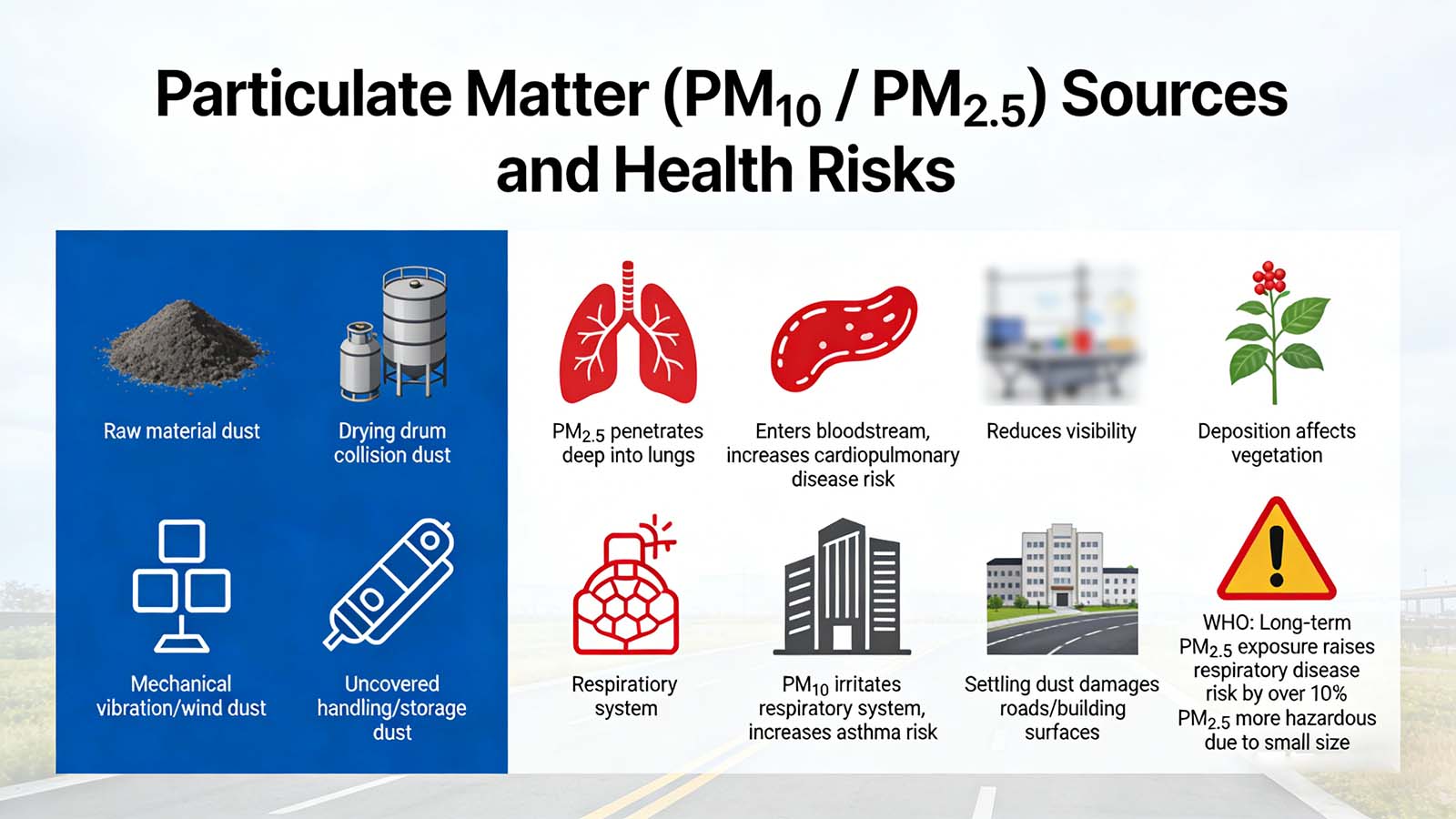 Particulate Matter (PM₁₀ PM₂.₅) Sources and Health Risks